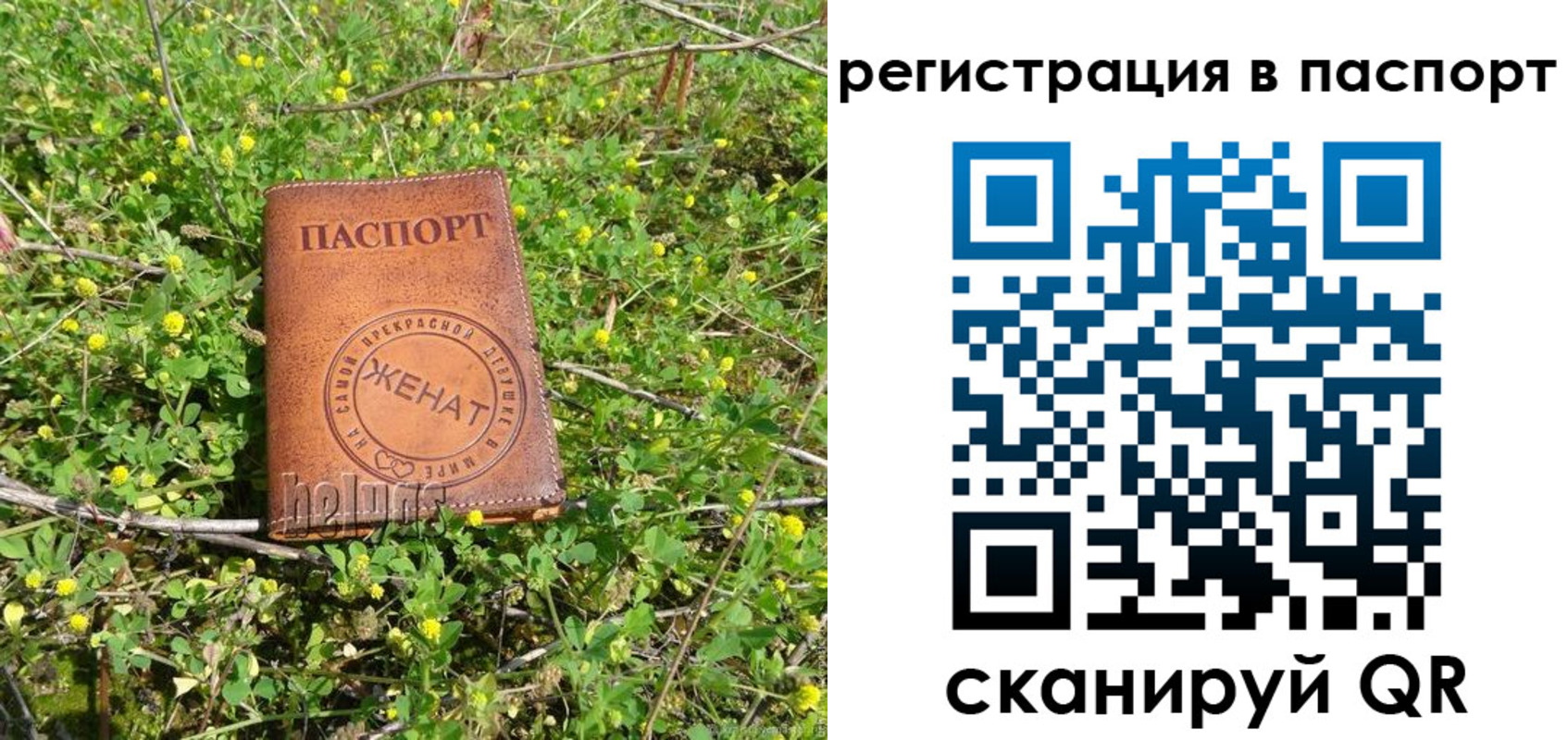 прописка законно в Харовске